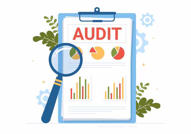 audit